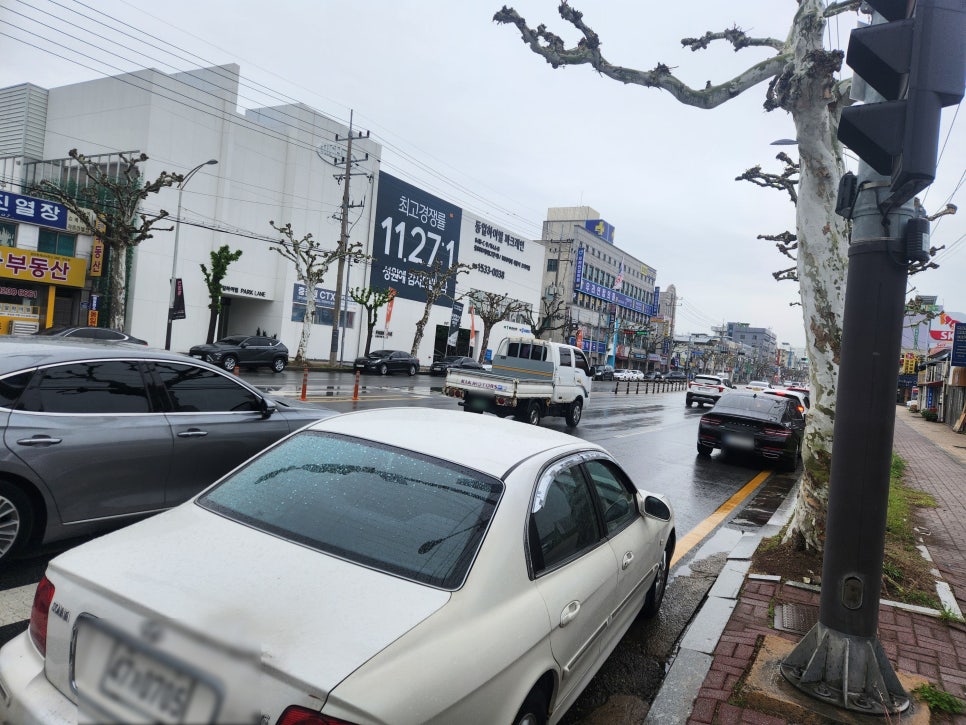 동운렌트카 이미지