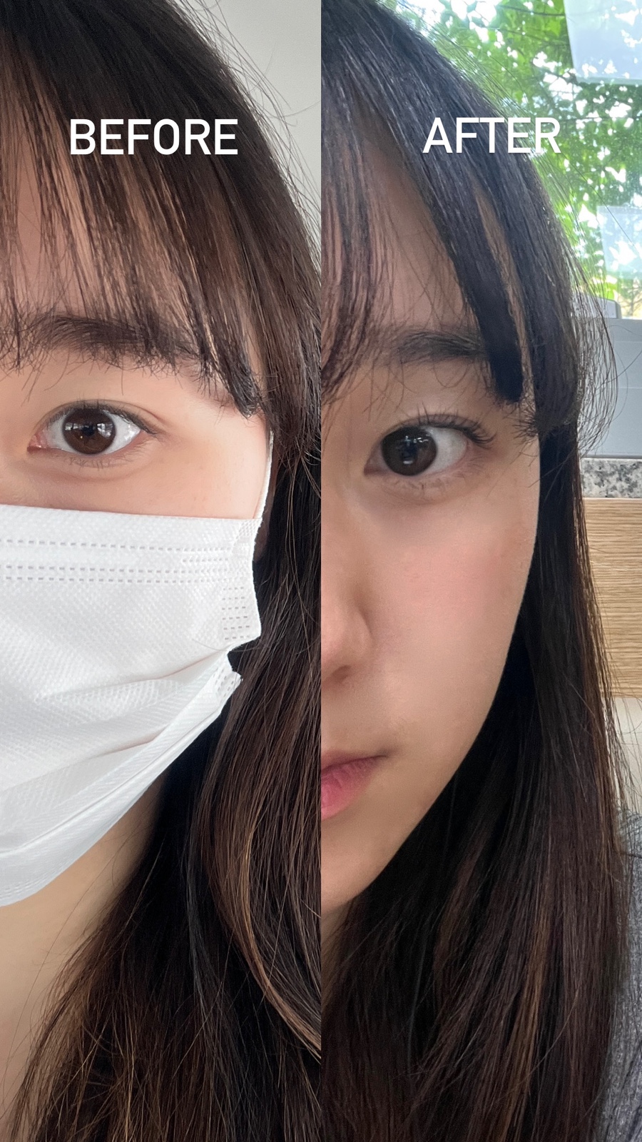 프리모르 이미지