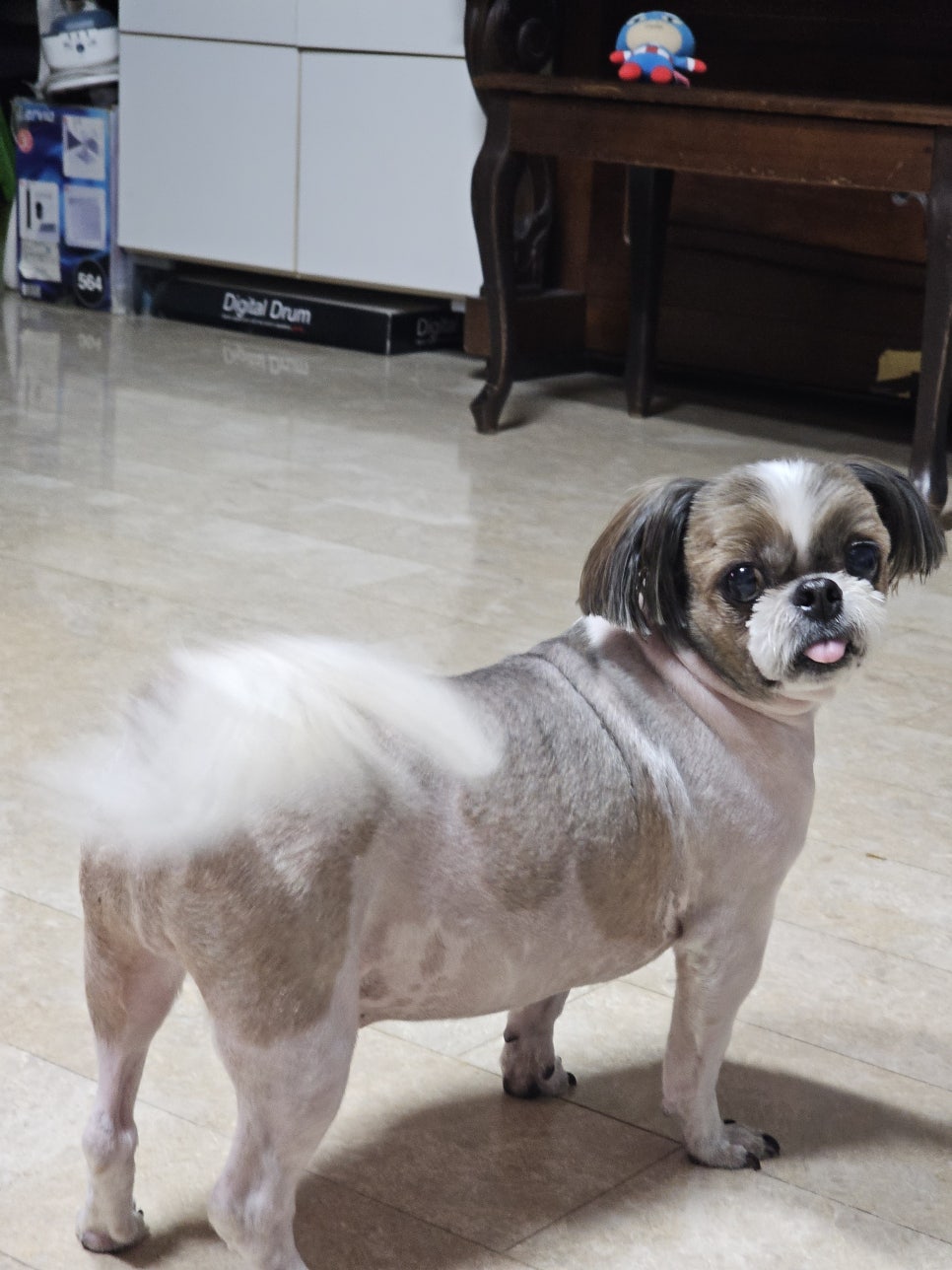 진참치랑연어 이미지