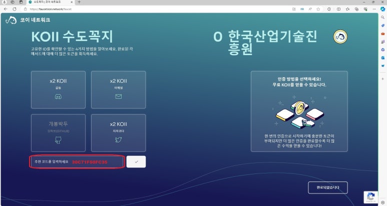 코이(koii) 이미지