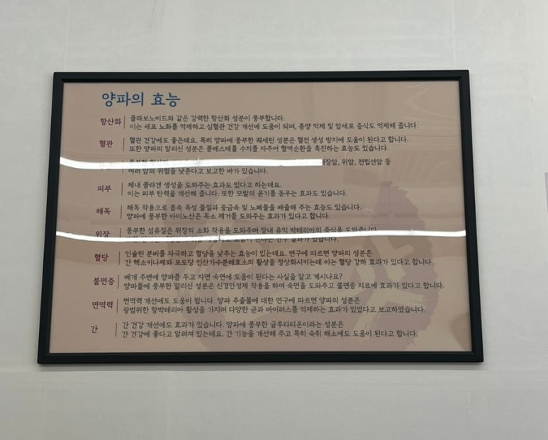 손맛양파국수 이미지