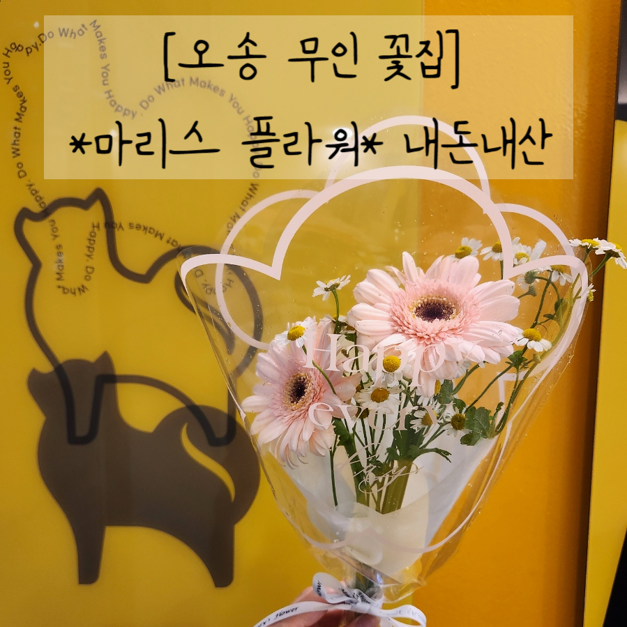 마리스플라워 이미지