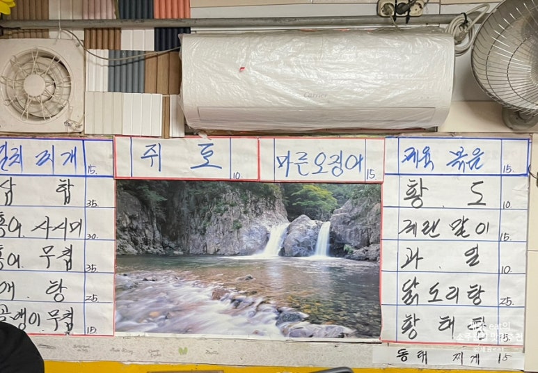 미니차표한장 사진 6