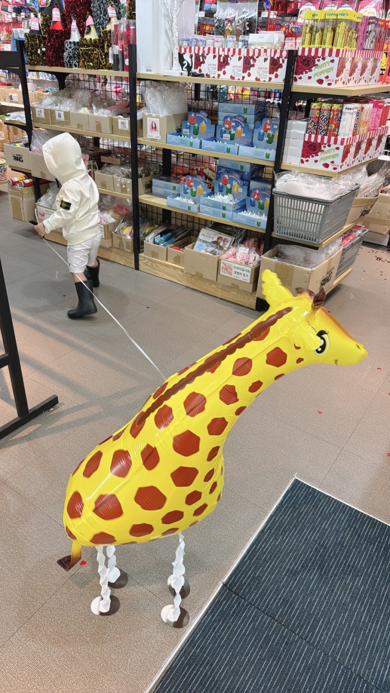 코코숲 이미지