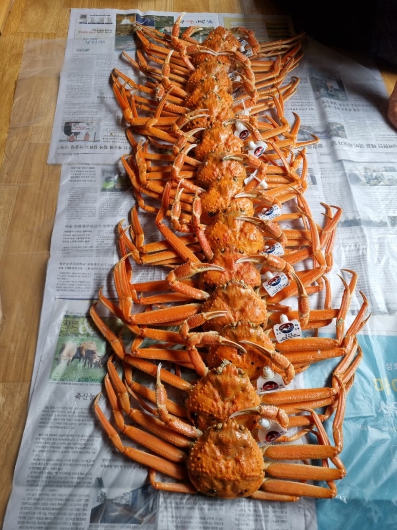 현이수산 이미지