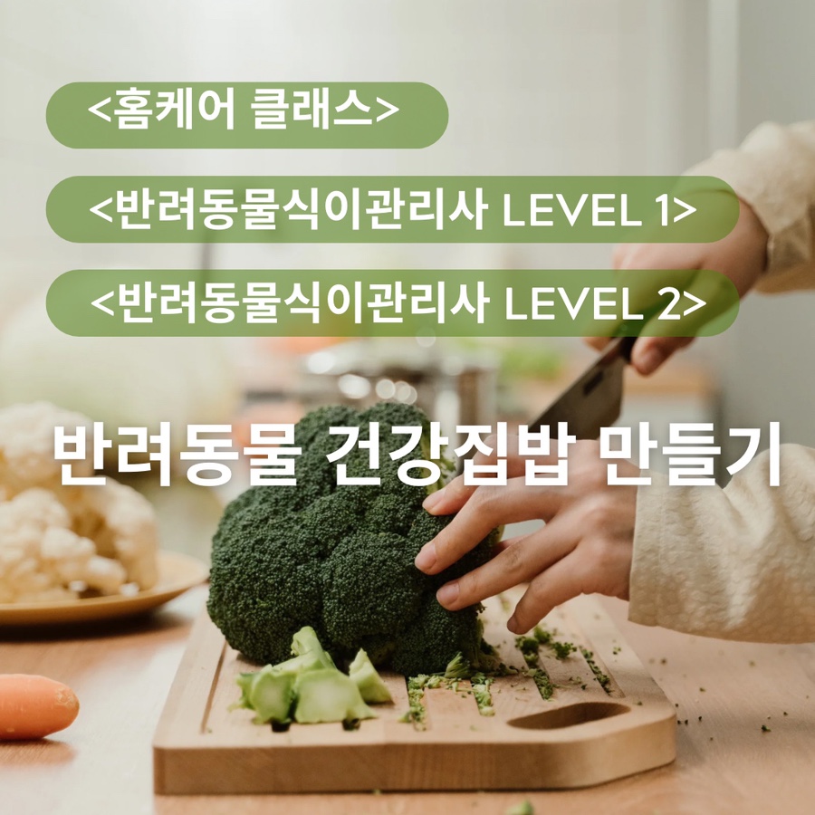 더힐테라피센터 이미지