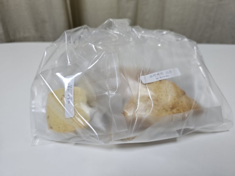 망고엔돌핀 대표 사진