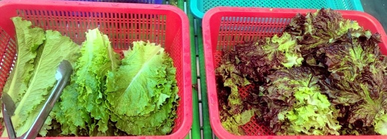 코찜코다리 이미지