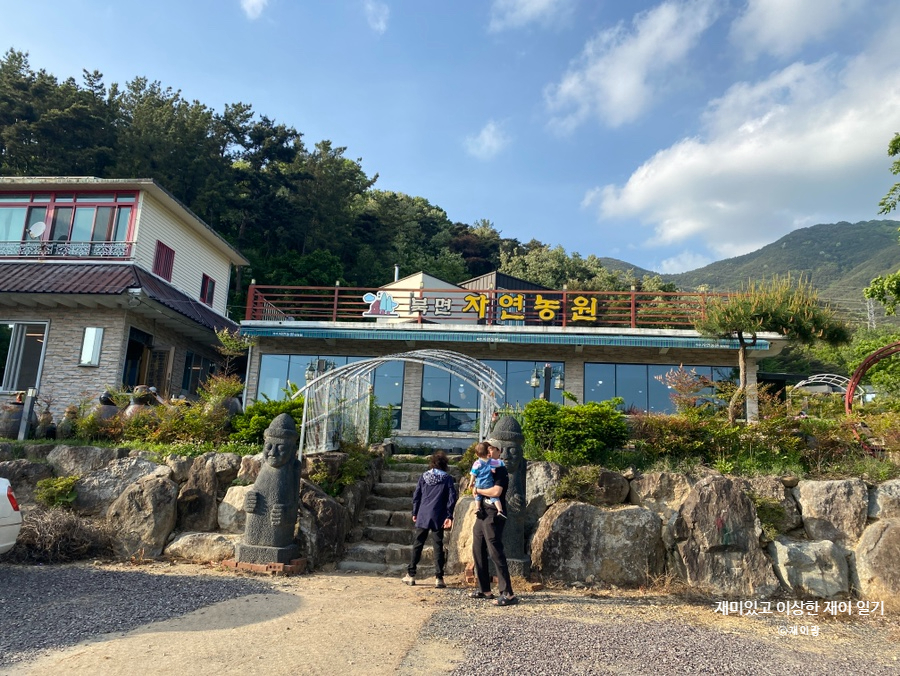 대구난농원 이미지