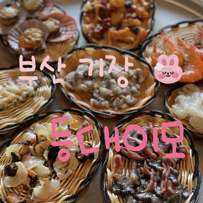 등대이모 이미지