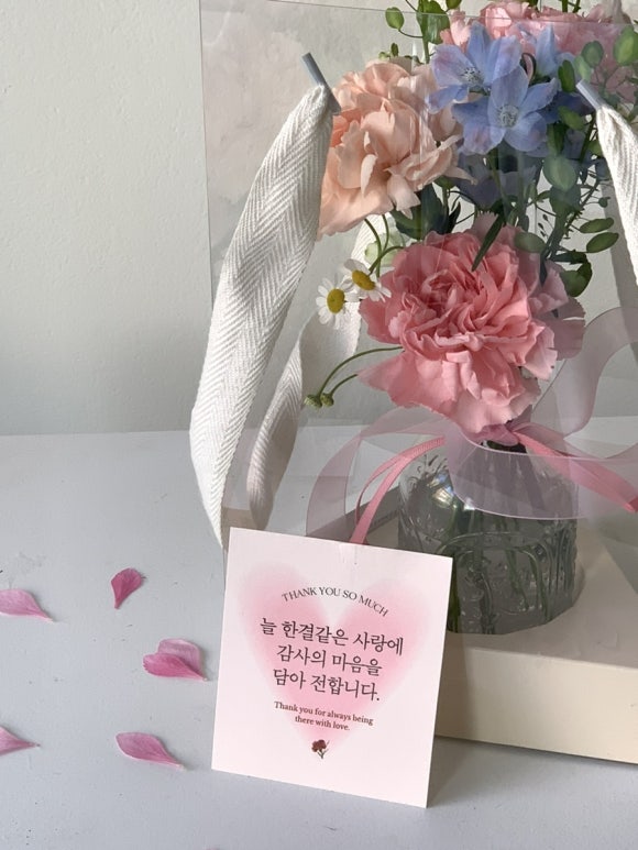 하이메리플라워 이미지