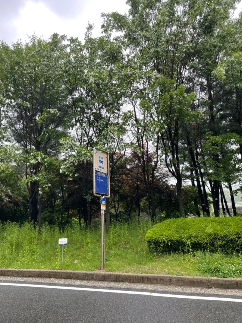 오아스(oaas) 이미지