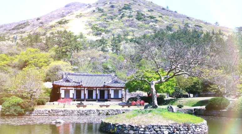 여행일번지지점 이미지