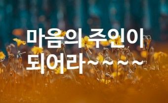 도동유통 이미지