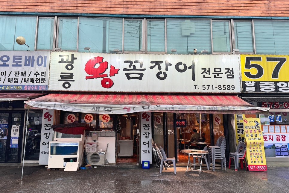 광릉왕꼼장어 이미지