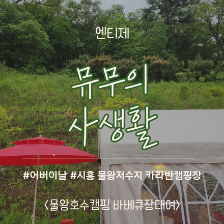 물왕호수캠핑 이미지