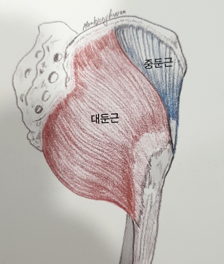 미라온한의원 이미지