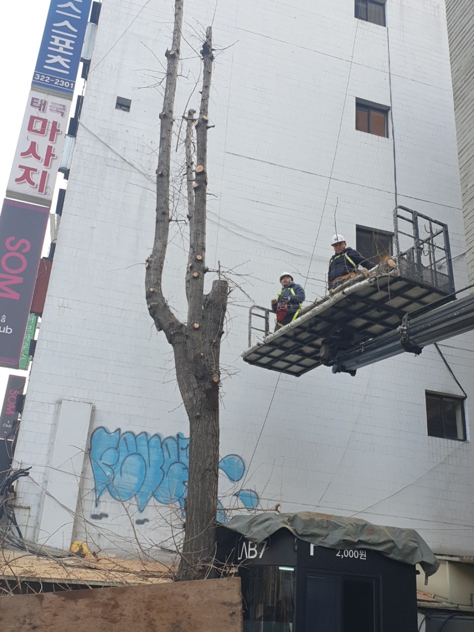 태진자원 이미지