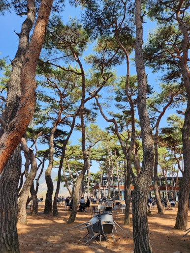 카페소울 이미지