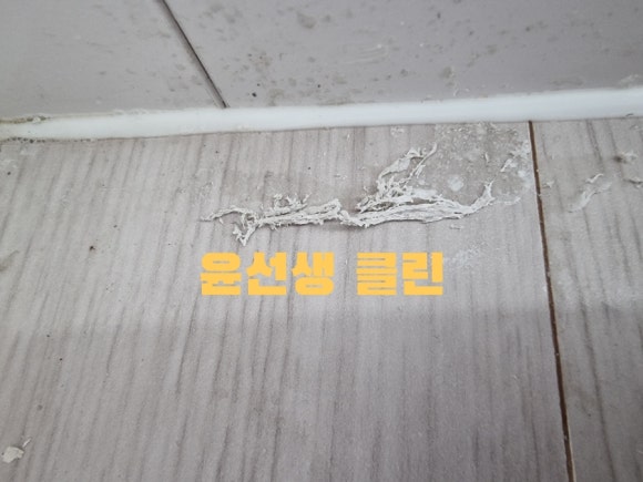 윤선생클린 이미지