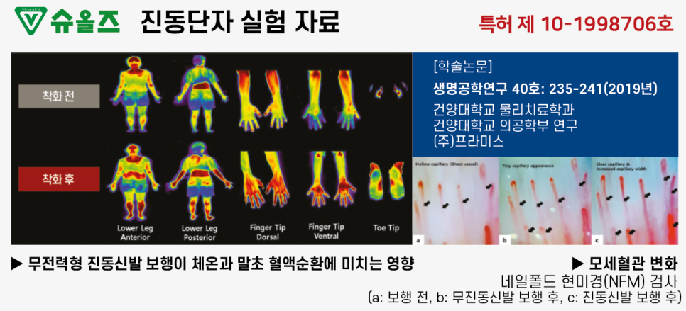 슈올즈 이미지