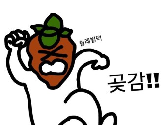 요호야(yohoya) 이미지