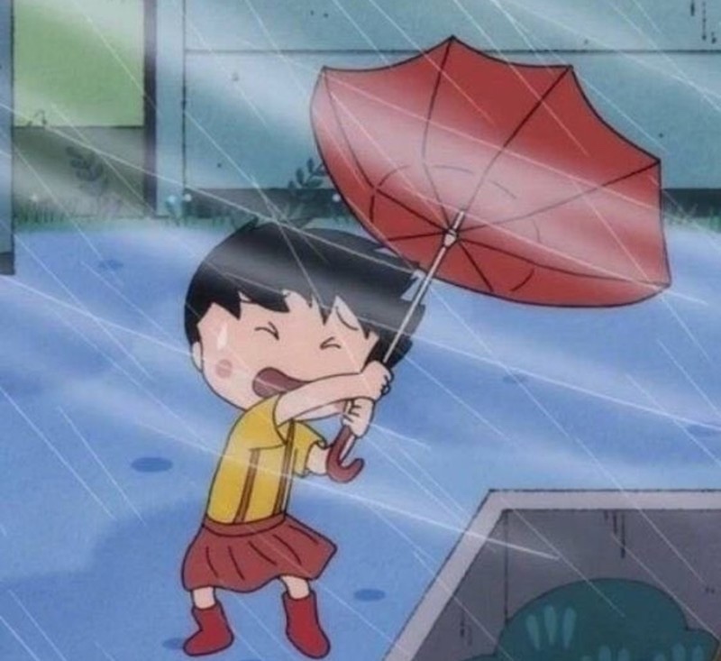 홉히 이미지