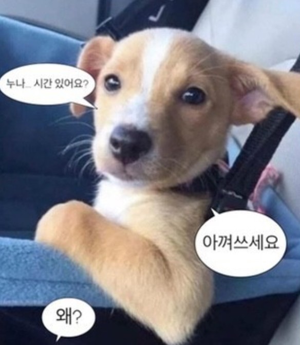 별내암소한우 이미지