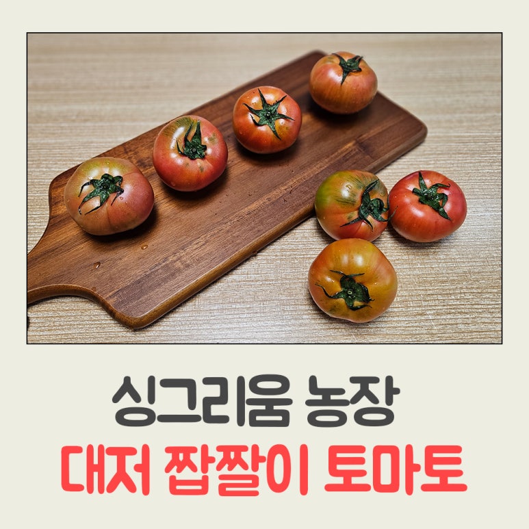 더싱싱농장 이미지