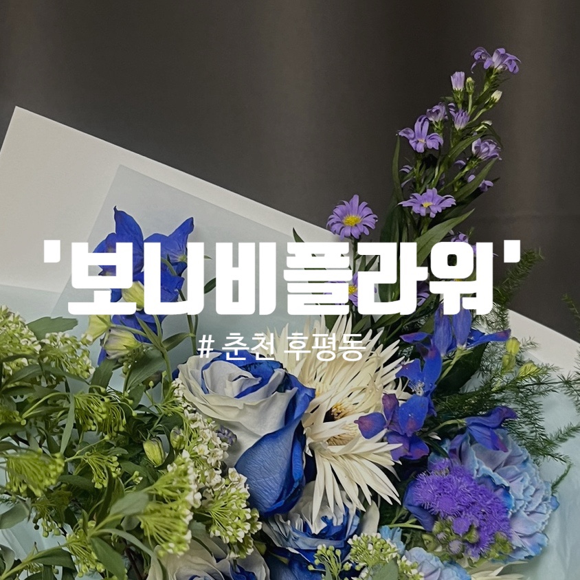 보니비플라워 이미지