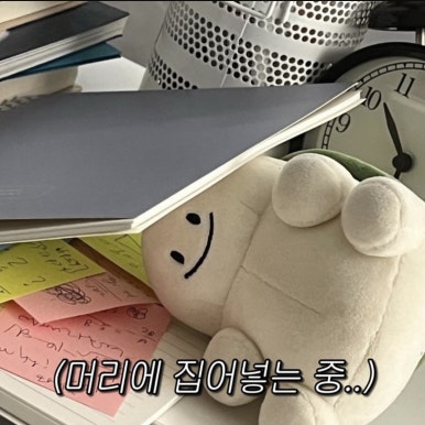 갈매기둥지 이미지
