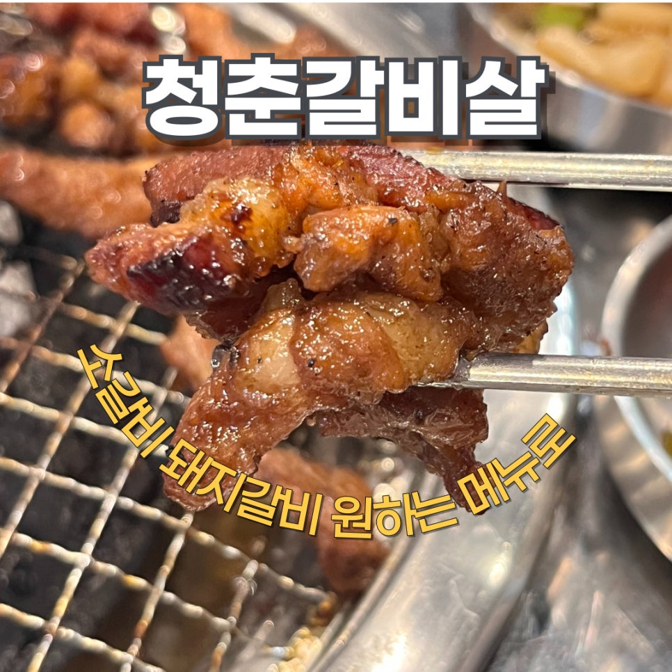청춘갈비살 이미지