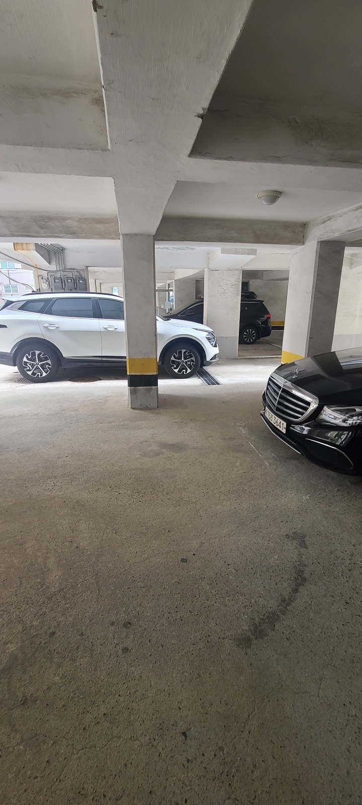 욜로종합관리 이미지