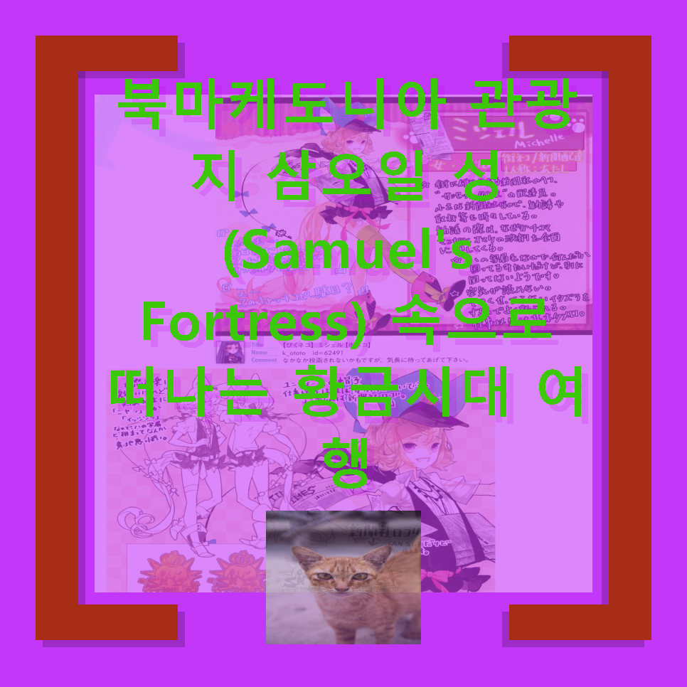 삼오관광 이미지