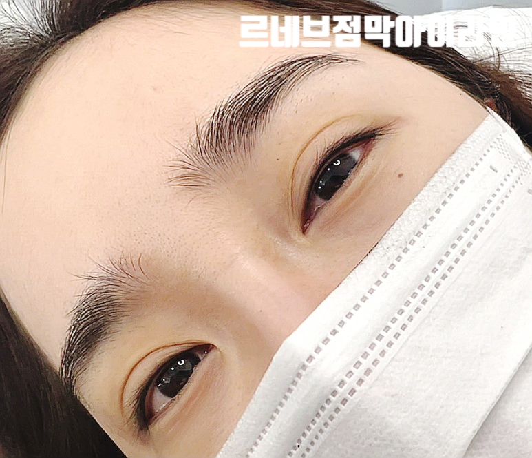 르네브로우 이미지