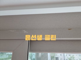 윤선생클린 이미지