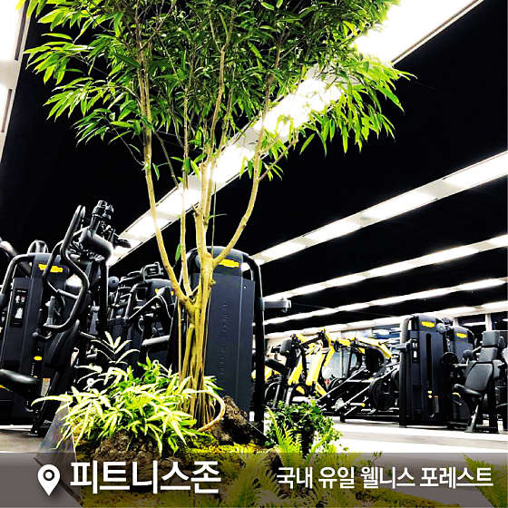센터원웰니스 이미지