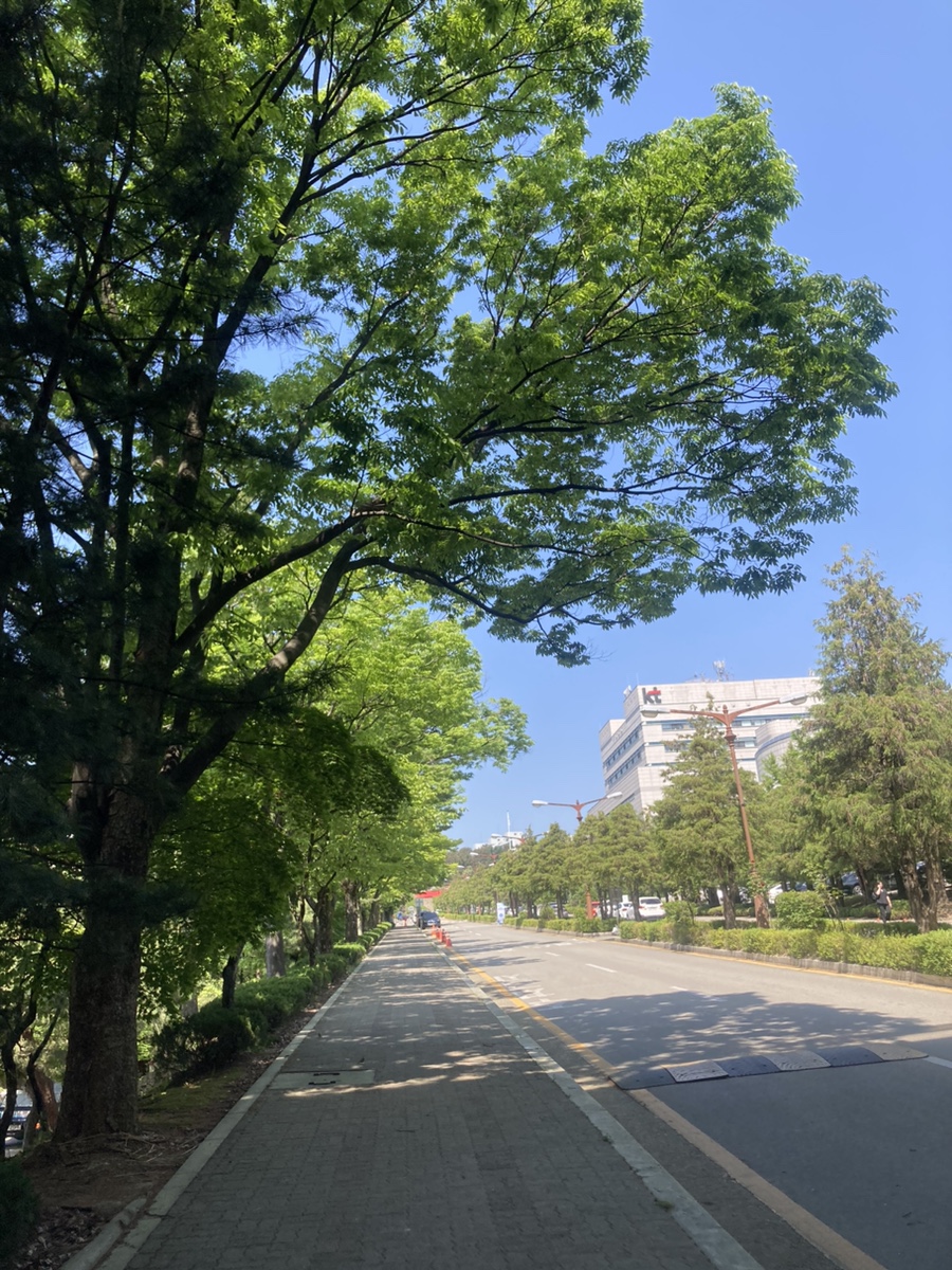 대전인재개발원카페 이미지