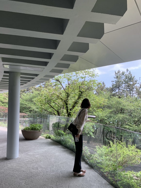 조현화랑주 이미지