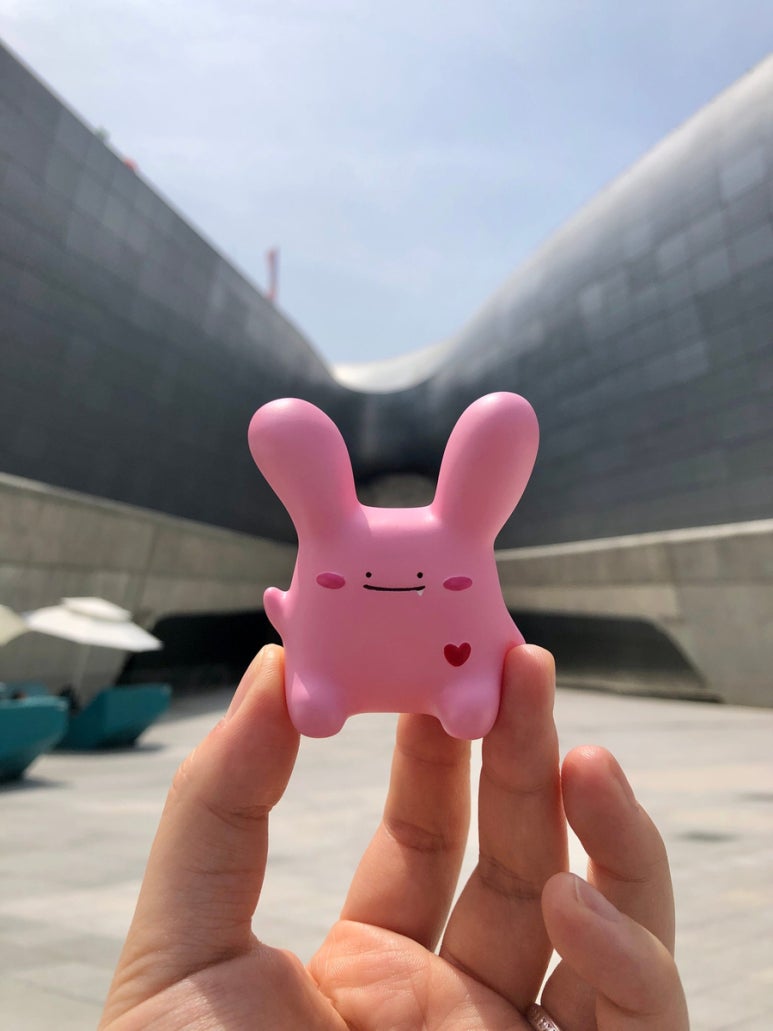 라빗플래닛 이미지