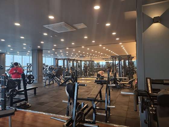 뉴바디휘트니스 이미지