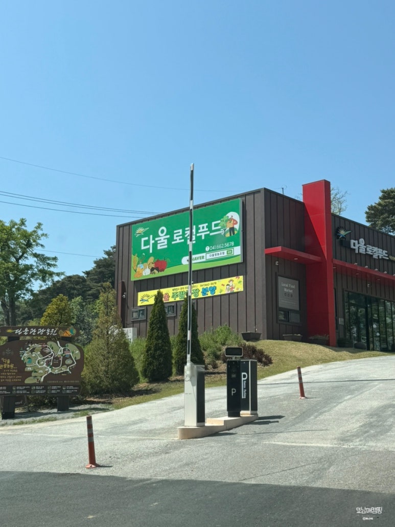 다울아이 이미지