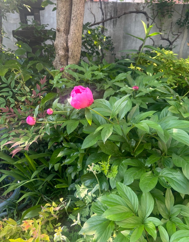 광덕한의원 이미지