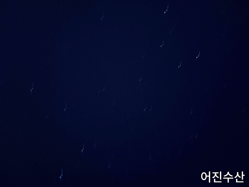 어진수산 이미지