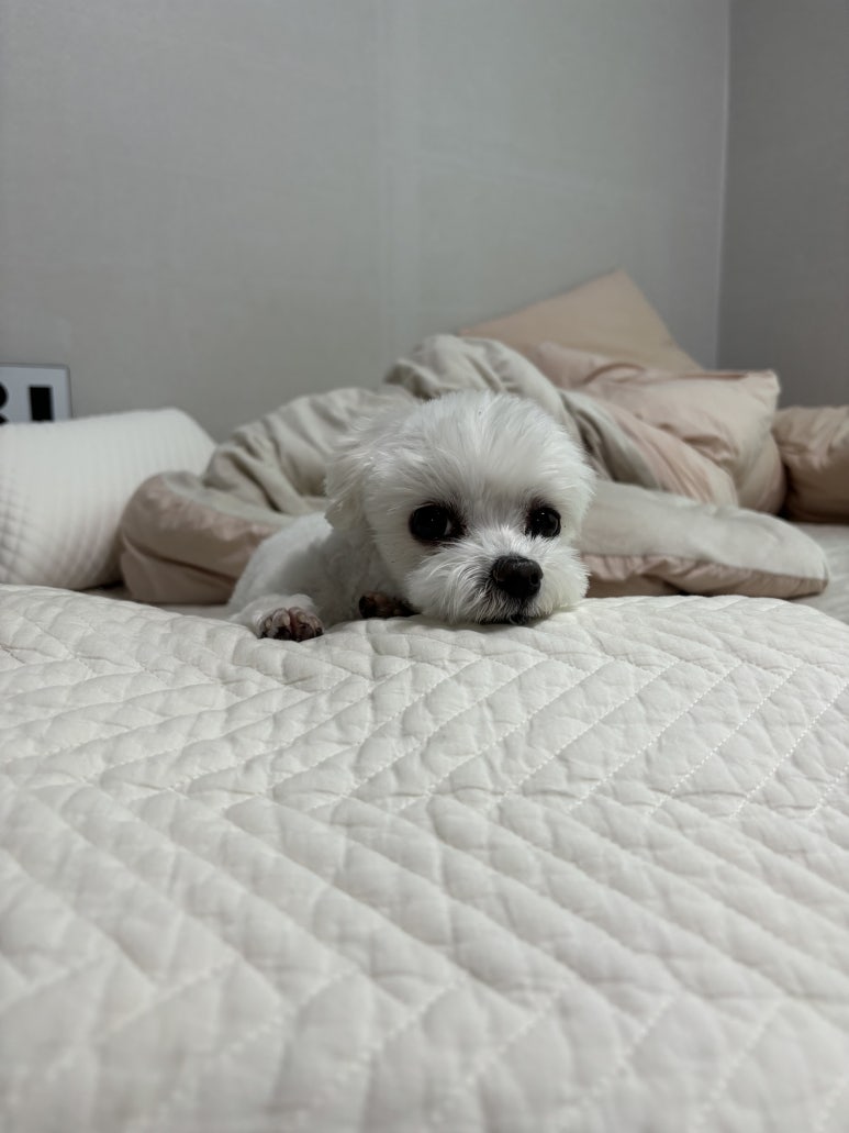 두두미용실 이미지