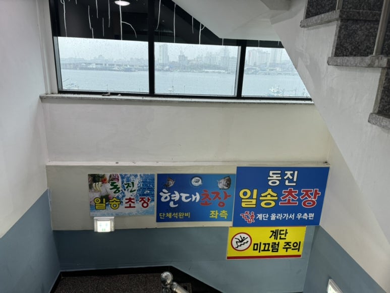 동진초장 이미지