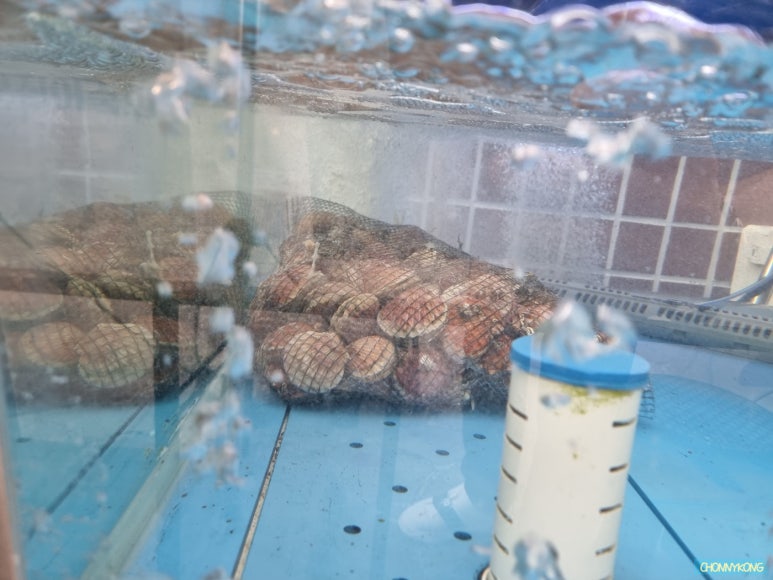 윤발이네 실내포차 이미지