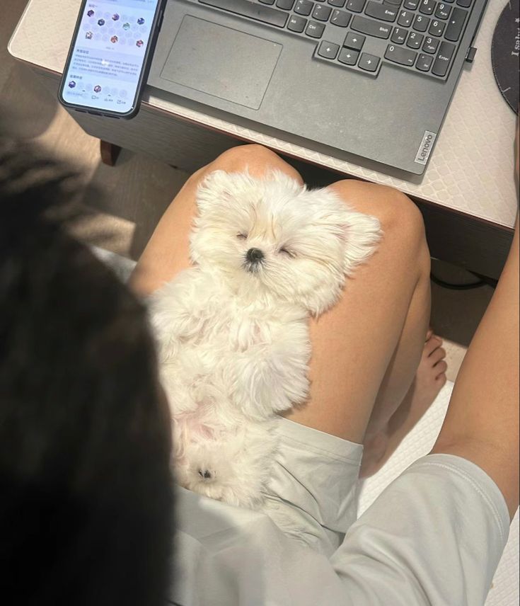 예술사진관 이미지