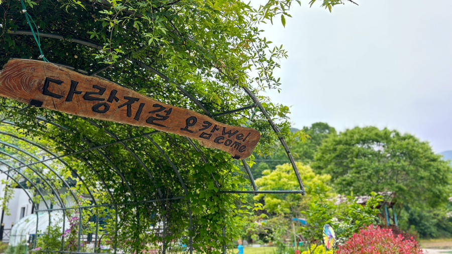 다랑지걸오캄 이미지