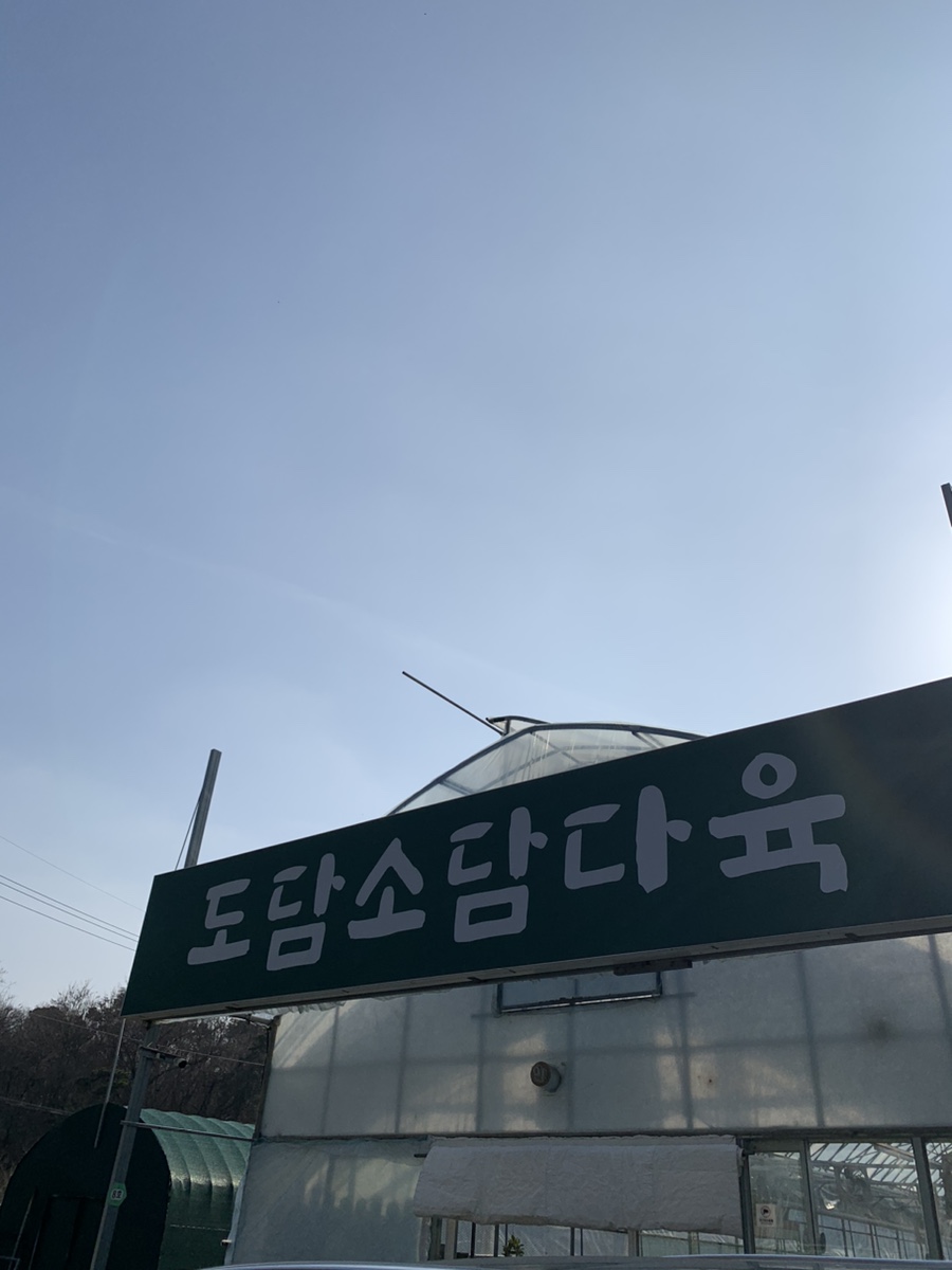 도담소담다육 이미지